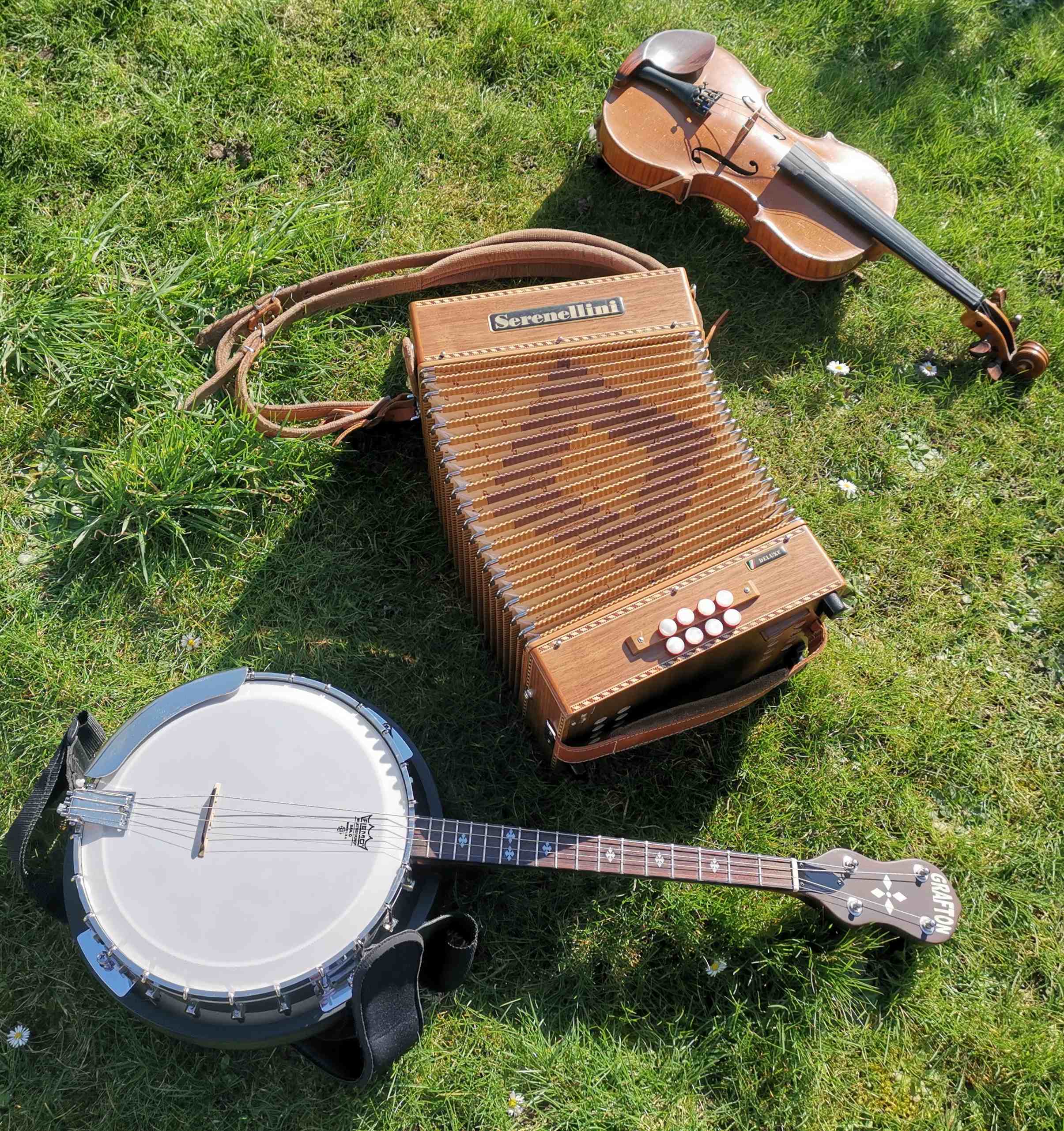 musical instruments on a sunny lawn